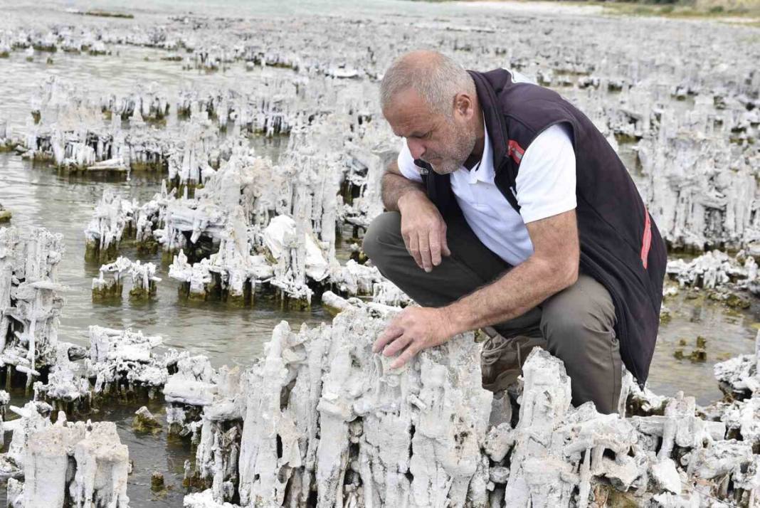 Van Gölü’nde dev keşif! Bilinenlerin en büyüğü: 80 metrelik mikrobiyalit ortaya çıktı 3